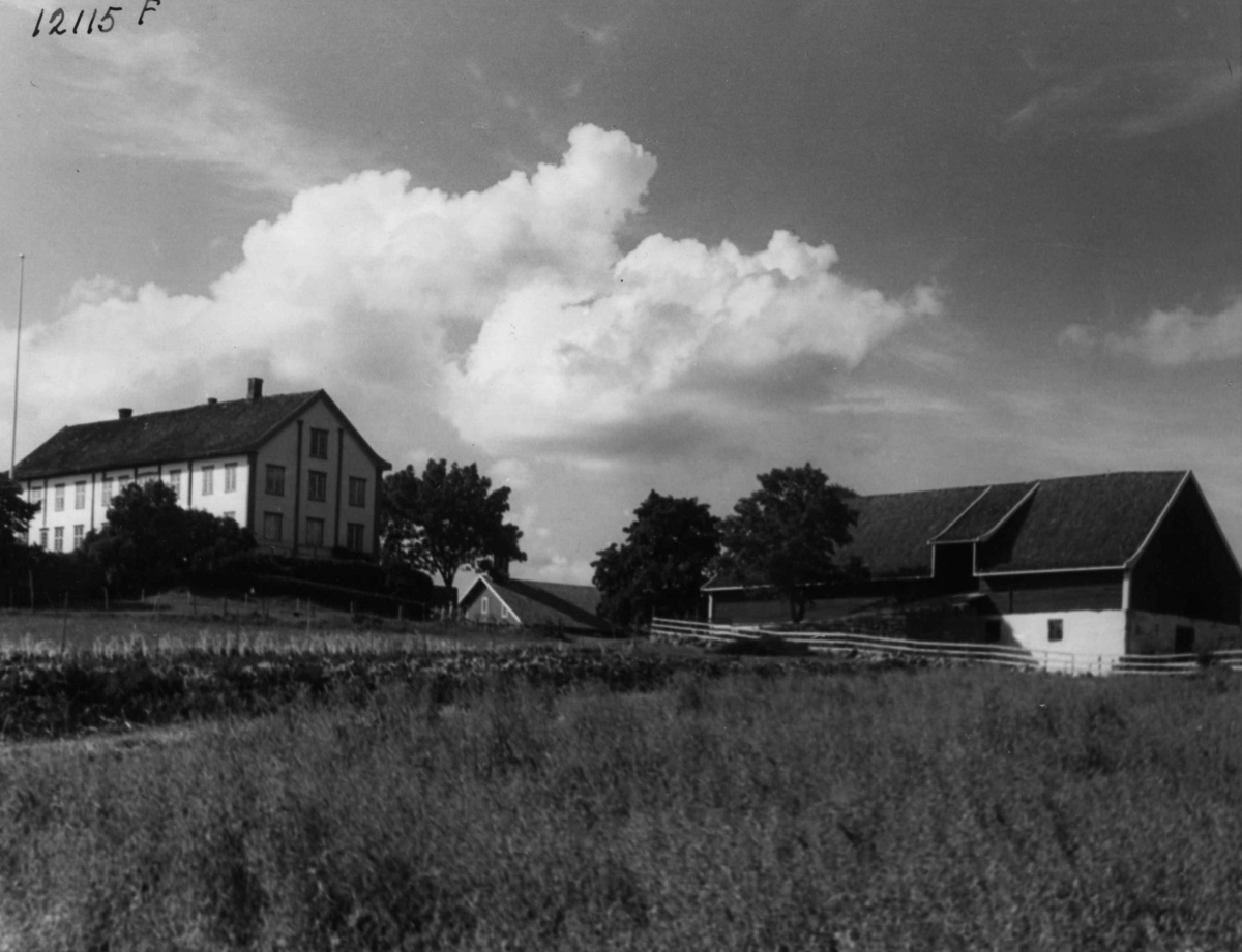 Anders Beer Wilse, Hoel gård