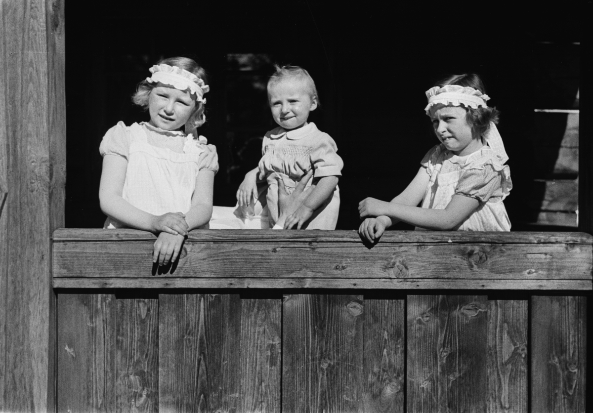 Anders Beer Wilse, Prot: Skaugum Paa Lekestua