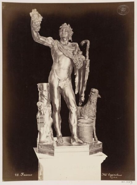 unknown, Photograph