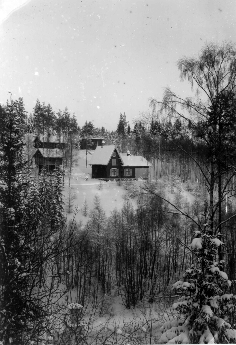 Fredrik Emil Faye, Dal gård, Ullensaker, ant. med Bjørnsrud, huset der kammerherre Faye hadde sine samlinger. Fra serie fotografert av kammerherre Fredrik Emil Faye (1844-1903), gårdens eier.