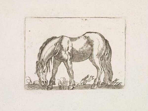 Unknown, Print