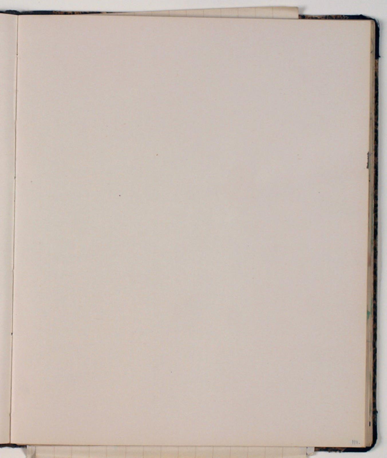 Niels Larsen Stevns, Blank