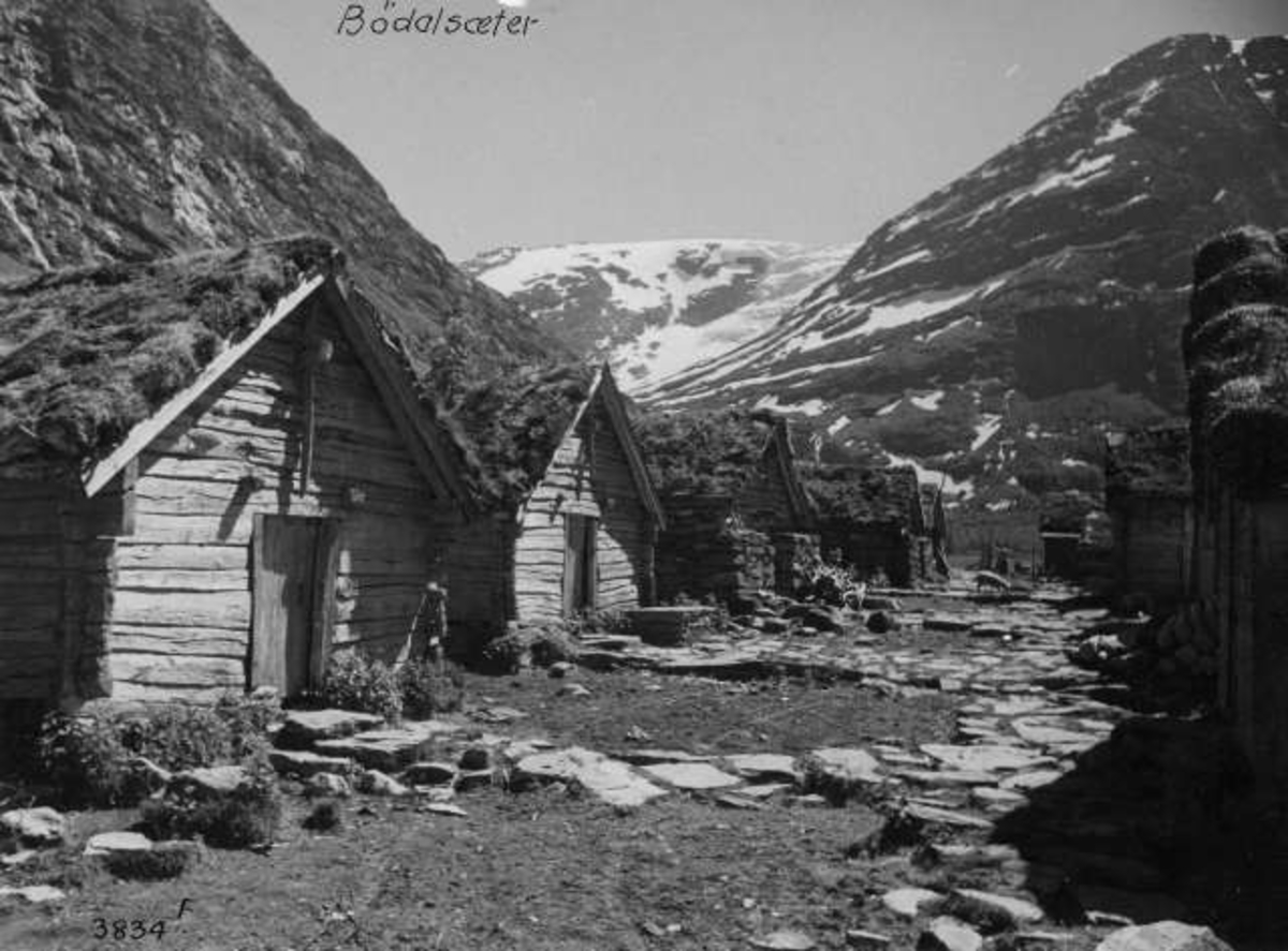 Anders Beer Wilse, -7073