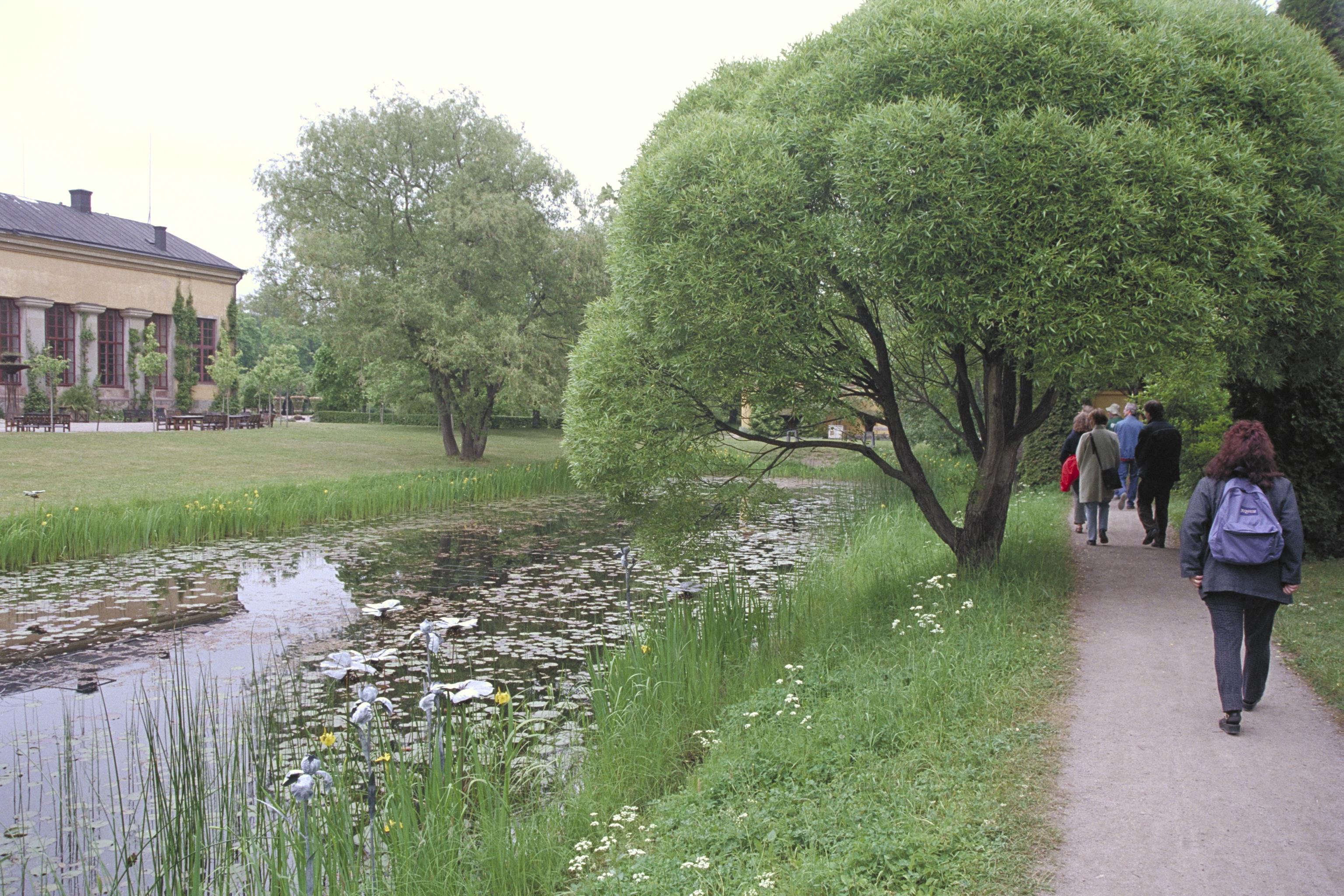 Bengt A Lundberg, Botaniska trädgården