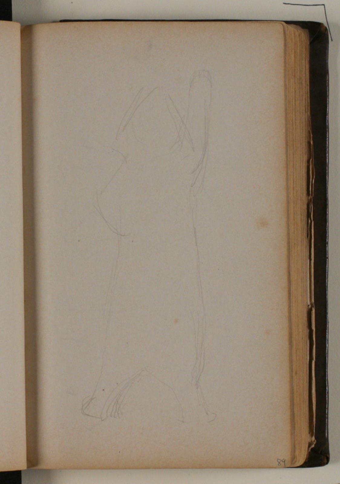 Niels Larsen Stevns, Studie af isbjørn