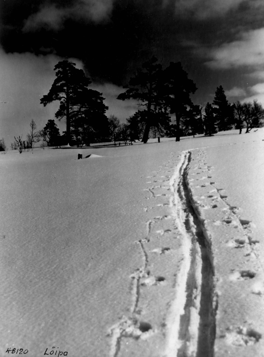 Anders Beer Wilse, Landskap, vinter, sno, ski, friluftsliv/sport, Hovden.
