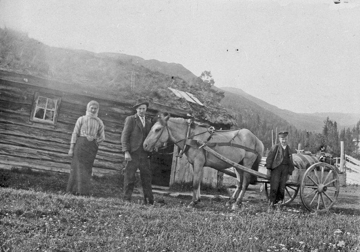 Rachel Haarseth, Hest, vogn, personer, klær, seterhus.