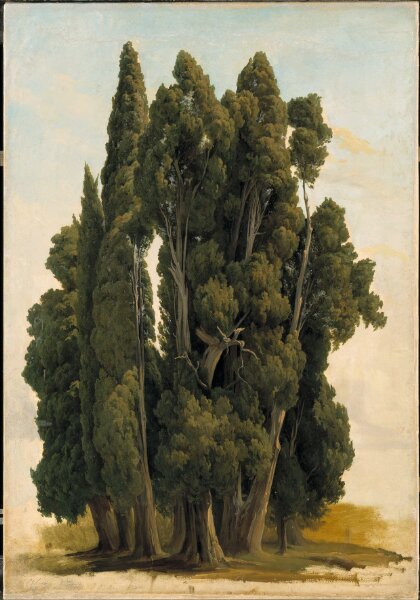 Gustaf Wilhelm Palm, Cypresser. Studie