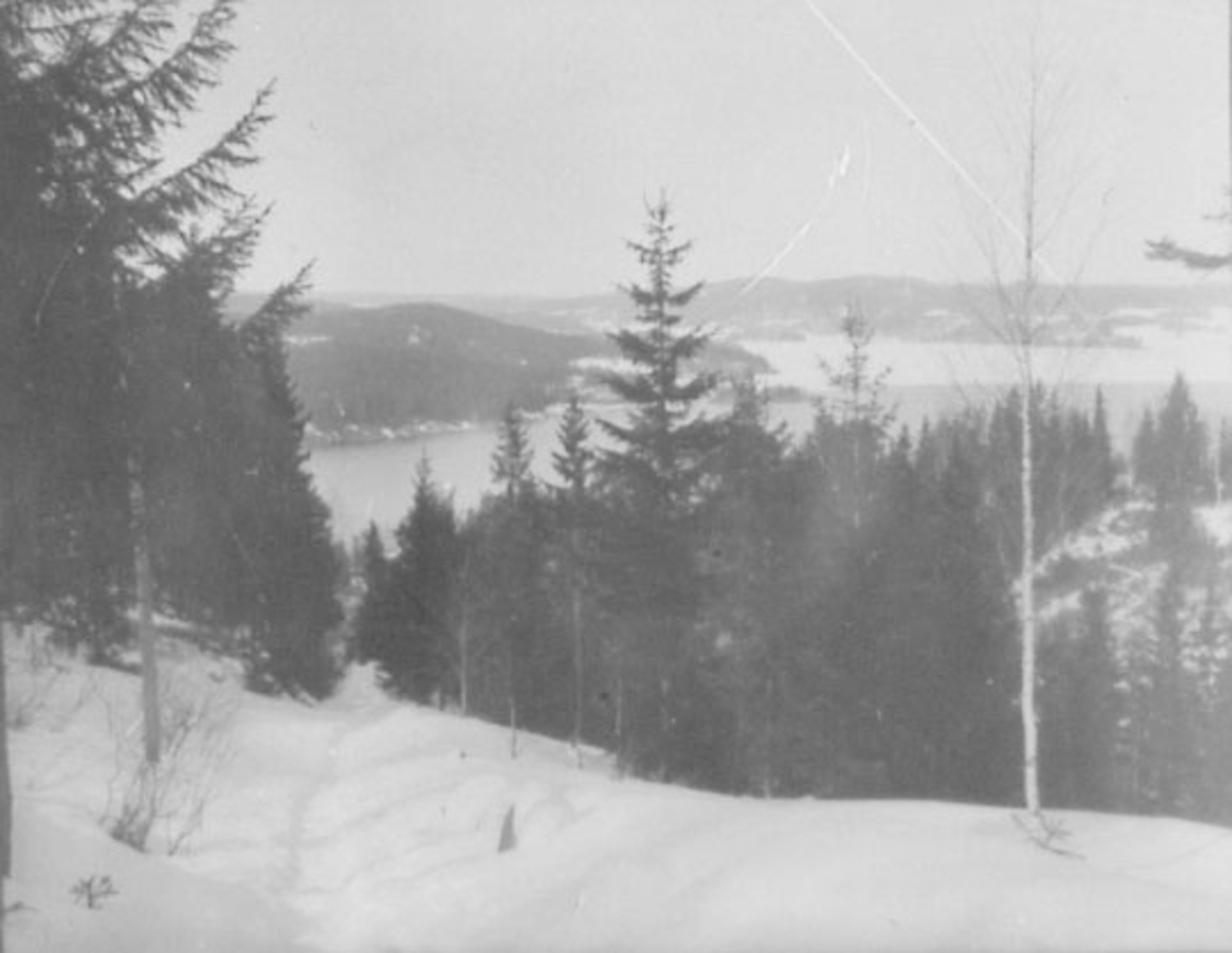 Normann Helger, KNUVLEGUTUA, KNUVLEGATA, GAMMEL VEG MOT LØRDAGSRUD, ESPALIA, VINTER
