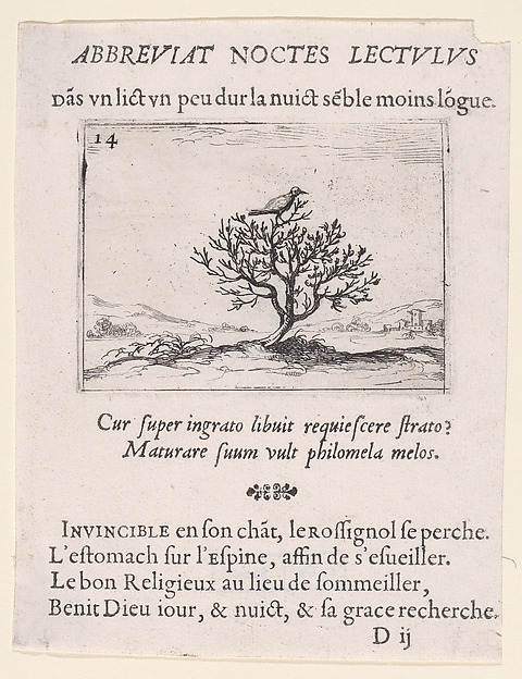 Jacques Callot, Le Rossignol Posé sur un Buisson (A Nightengale Standing on a Bush), plate 14 from "Lux Claustri ou La Lumière du Cloitre" (The Light of the Cloisters)