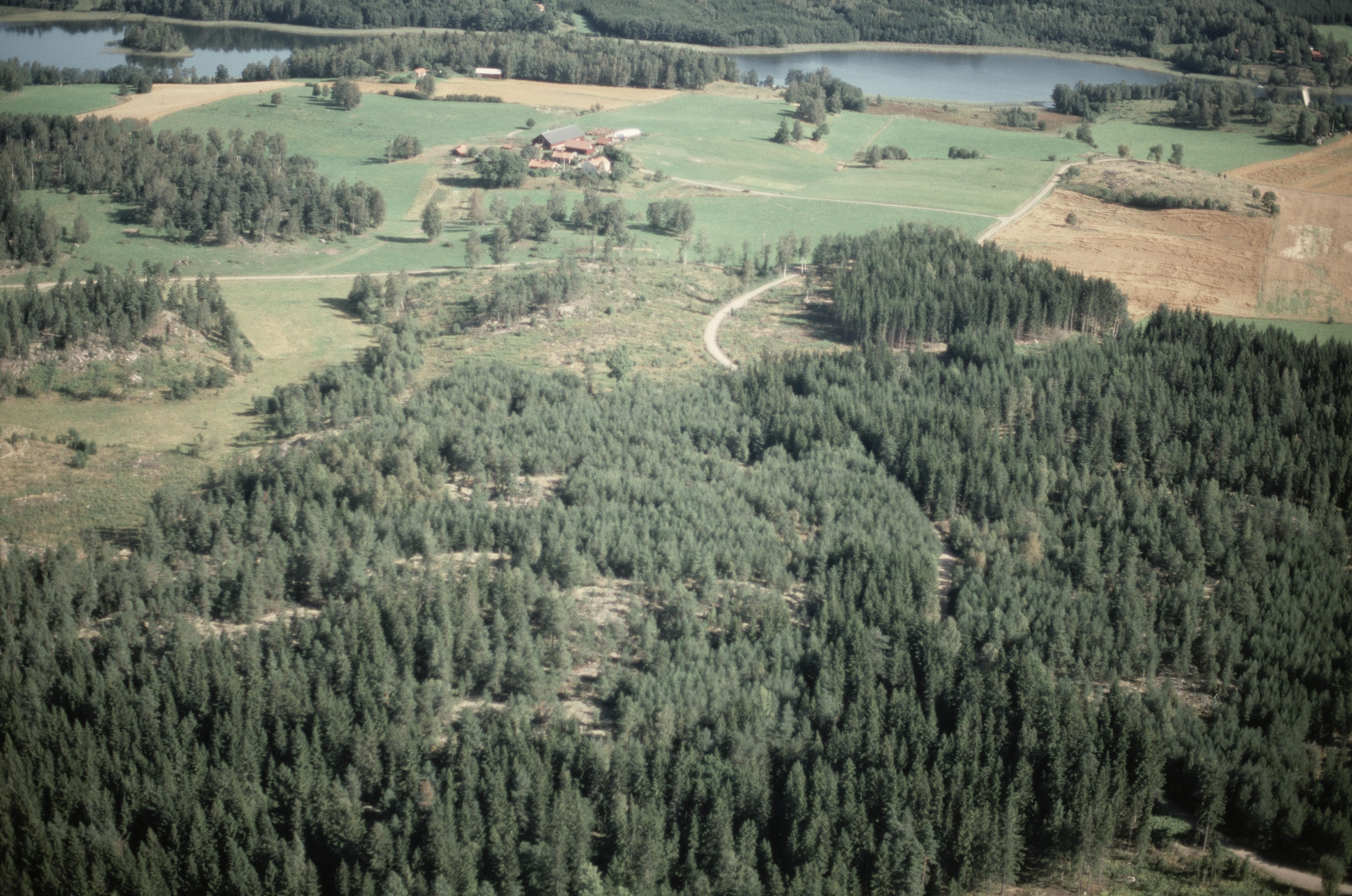 Jan Norrman, Hyltinge 29:1