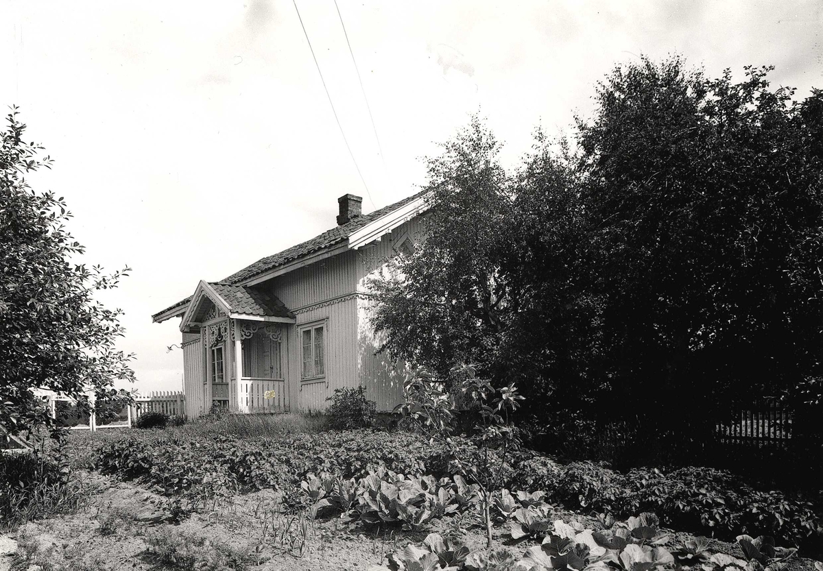 Anders Beer Wilse, Bakås gård, Oslo, Østre Aker. Våningshuset , tunet og kjøkkenhagen.