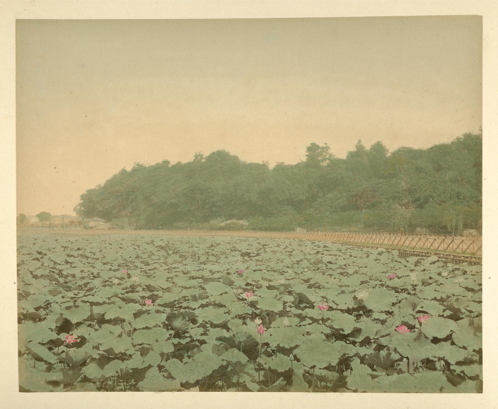 A. Farsari & Co, [Japan Album]