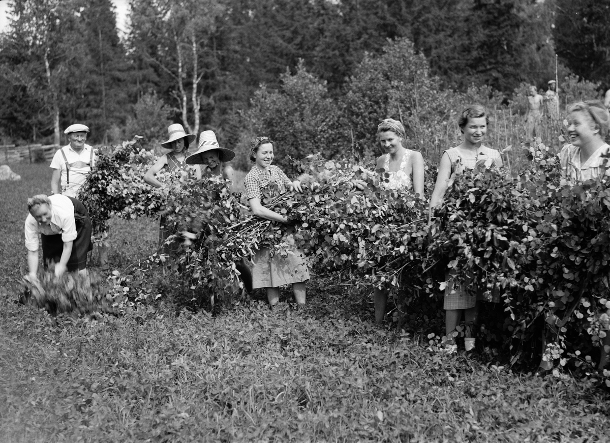 Paul Sandberg, Young people work with deciduous trees on a little farmyard, Almunge. Community action organised by the County Labour Board in Uppsala County
