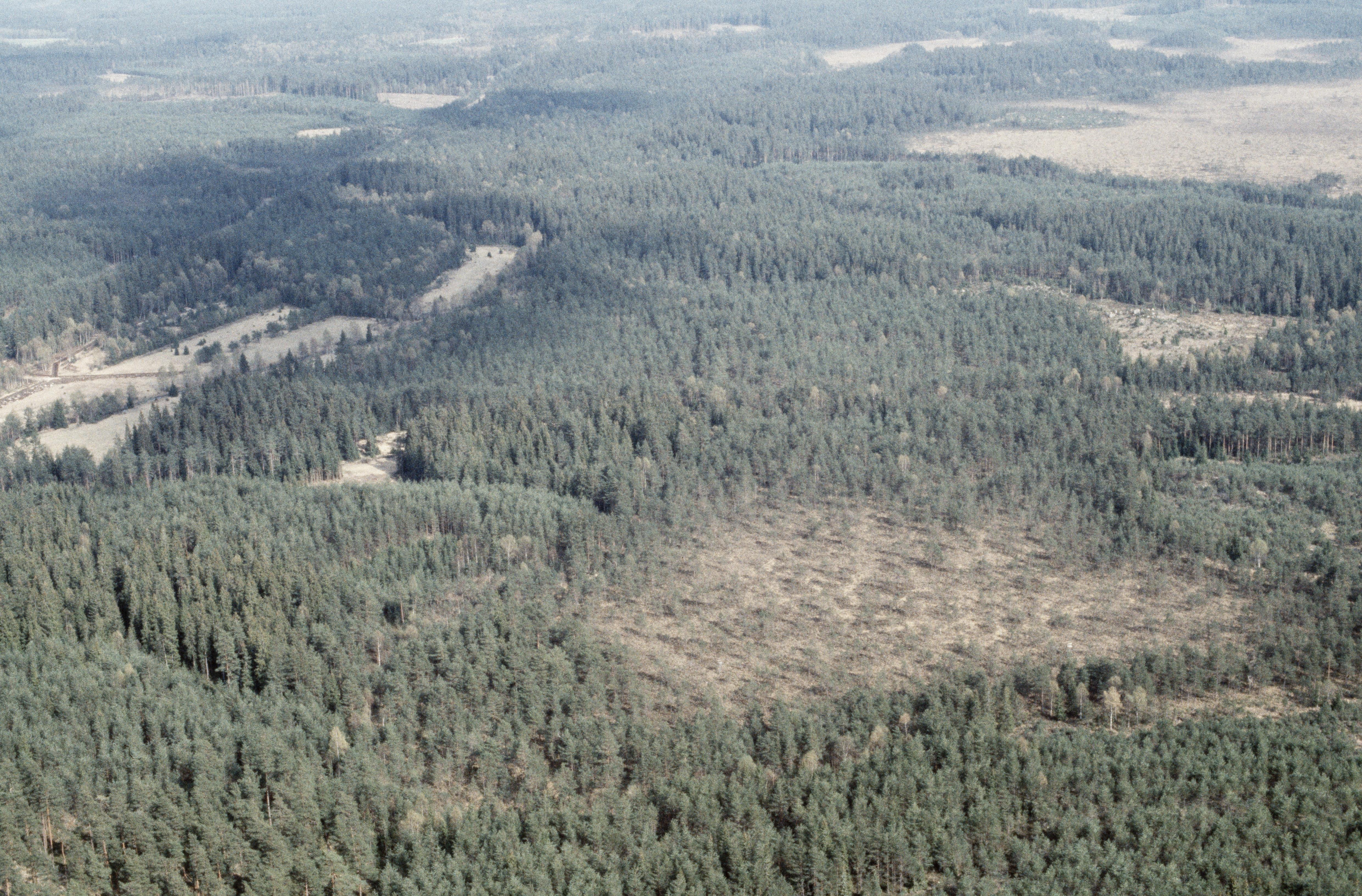 Jan Norrman, Råhultakärret