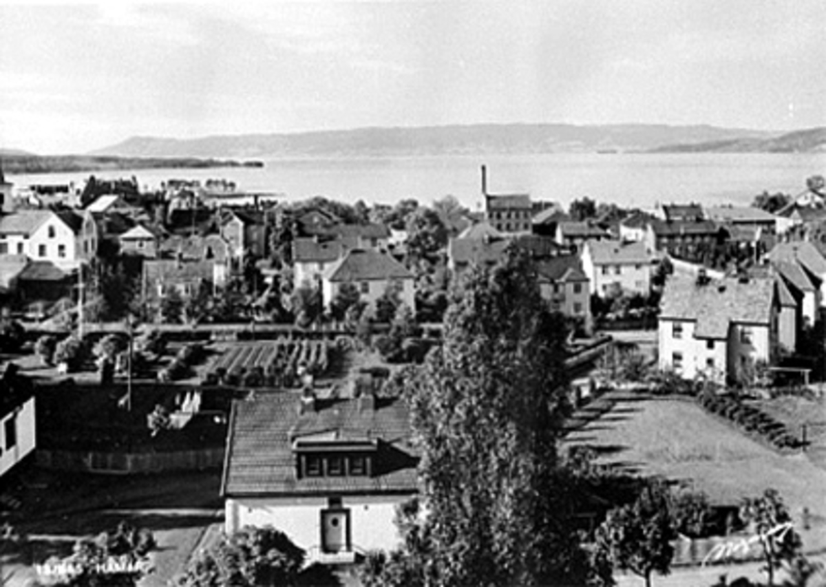 Anno Domkirkeodden, UTSIKT OVER BYEN FRA HAMAR SYKEHUS MOT MJØSA