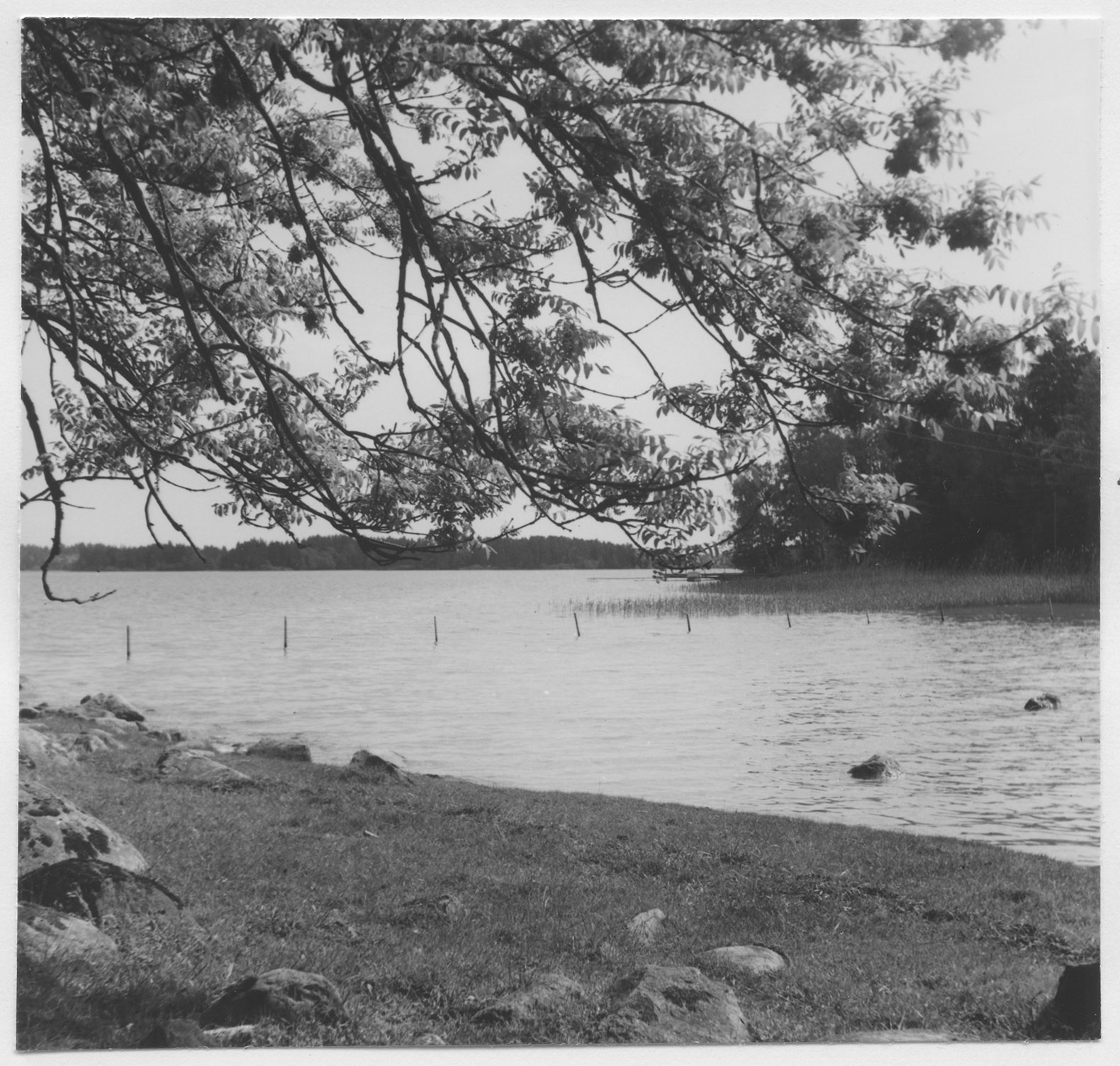 Mårten Sjöbeck, Helgö