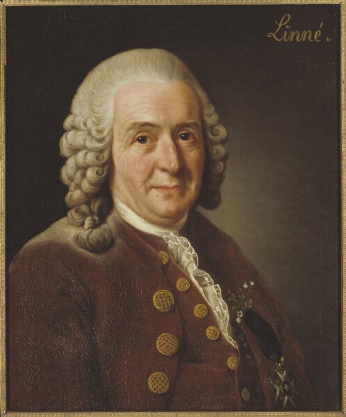 Alexander Roslin, Carl von Linné, 1707-1778, botanist, professor