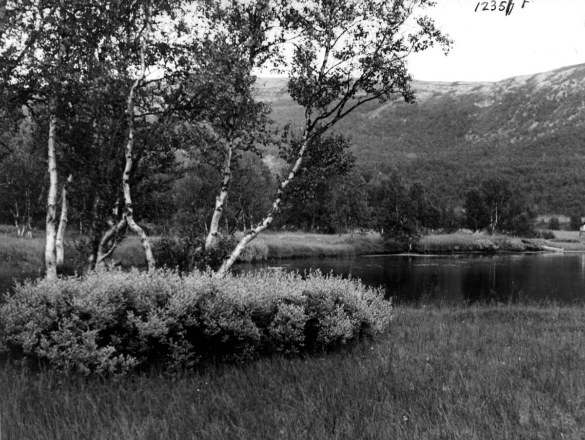 Anders Beer Wilse, Landskap, Hodalen