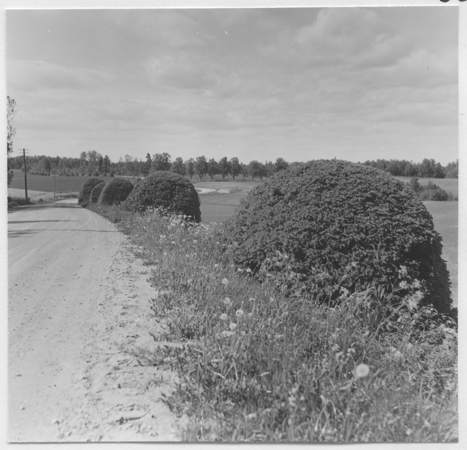 Mårten Sjöbeck, Danbyholms herrgård
