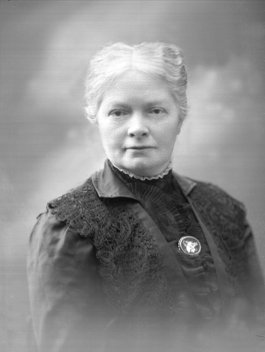 Gustav Borgen, NFB.37214
