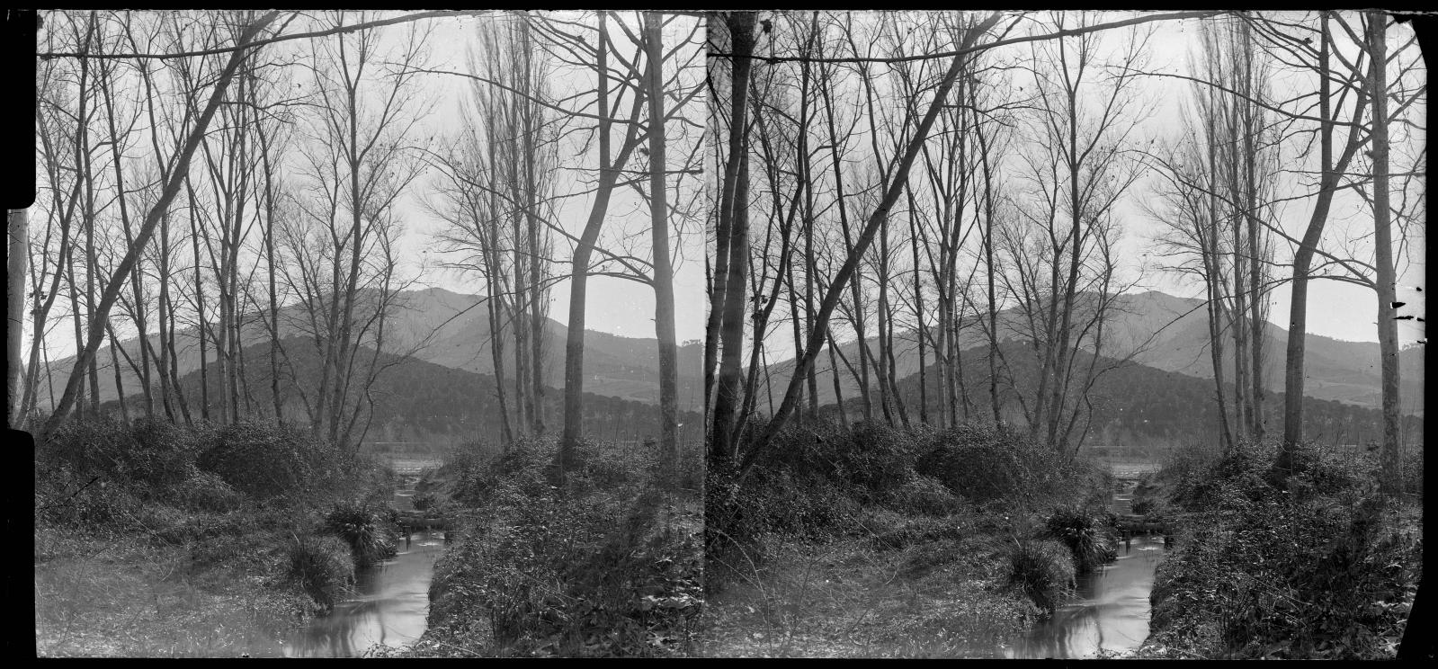 Desconegut, [Riera de Vallvidrera]