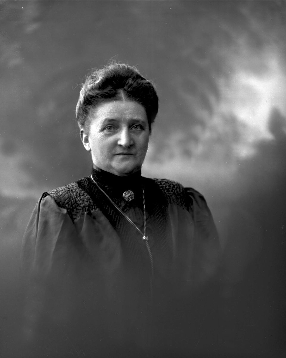 Gustav Borgen, NFB.21247