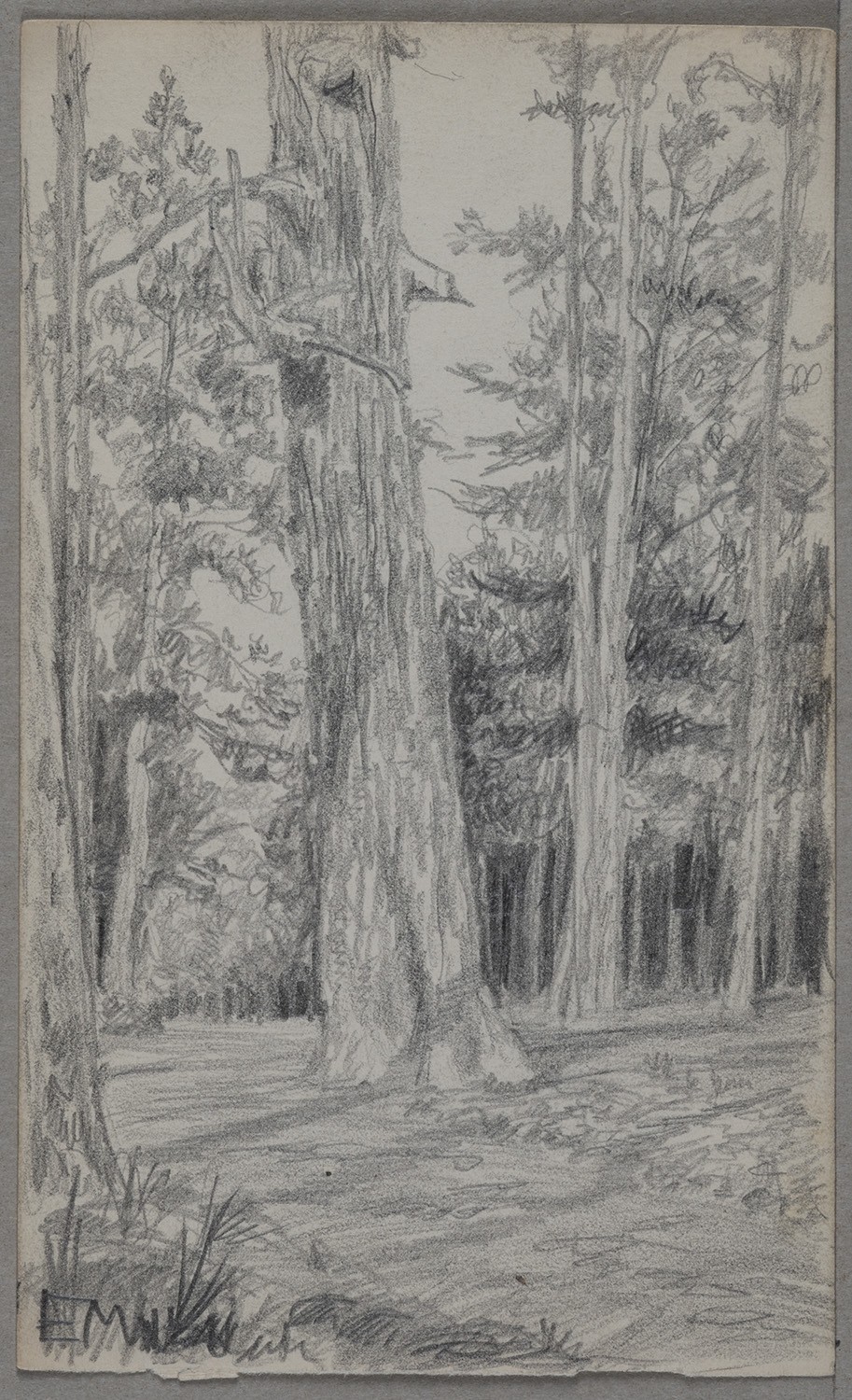 Ernst Morgenstern, Unidentifizierter Ort: Waldweg (Skizzenbuch Ernst Morgenstern, Beilage)
