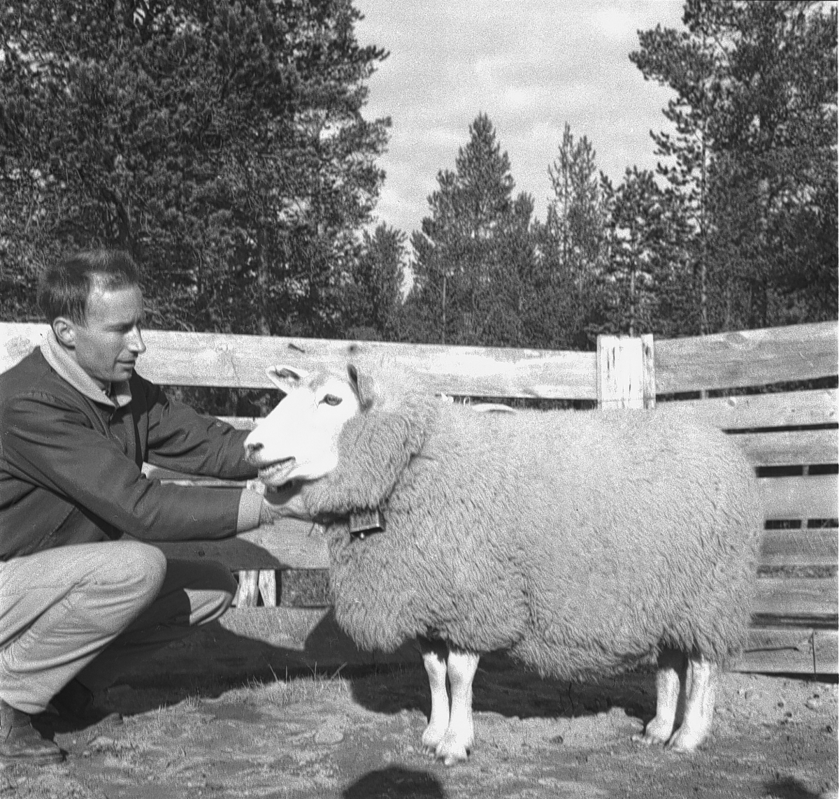 Per Magne Grue, Småfèutstilling på Os.