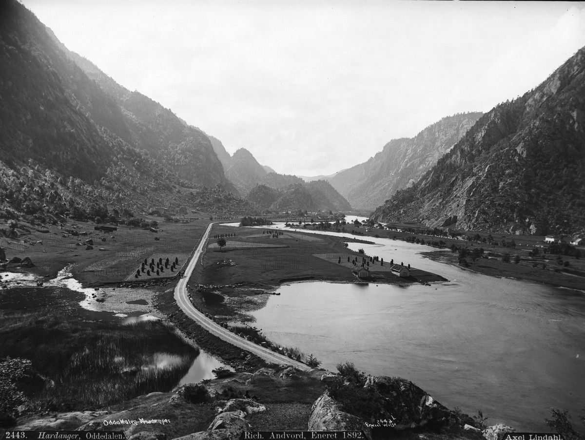 Axel Lindahl, "Prot: Hardanger, Oddadalen