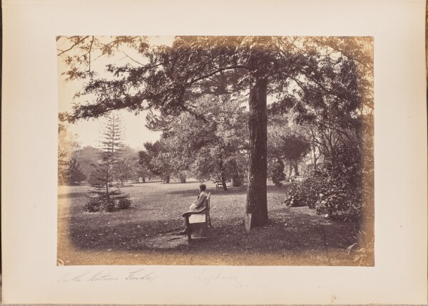 Unknown, In the Botanic Garden