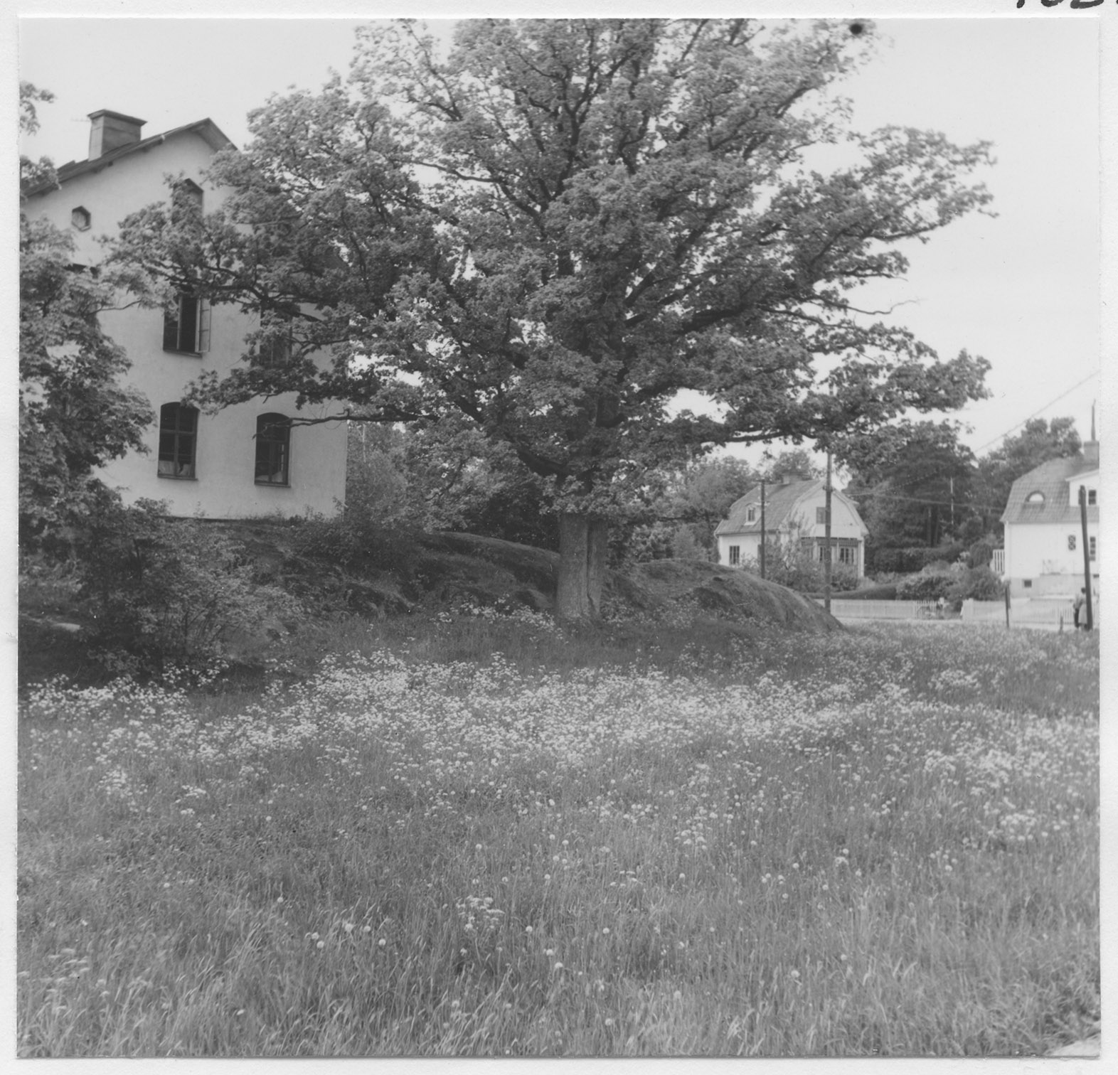 Mårten Sjöbeck, Stockholm, Älvsjö gård