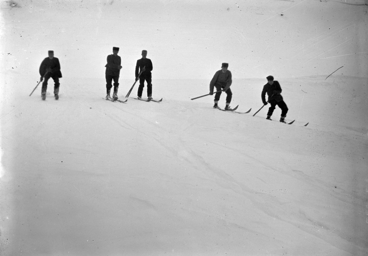 Johannes Larsen Alhaug, Fem menn på skitur.