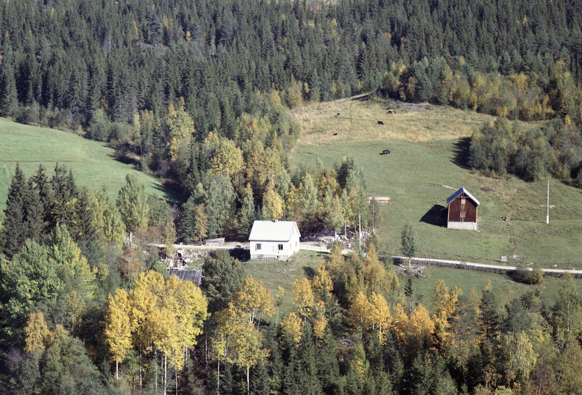 Widerøes Flyveselskap A/S, Bolighus