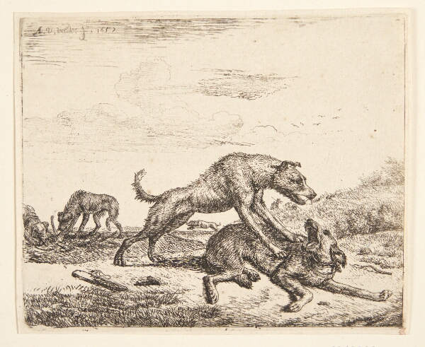 Adriaen van de Velde, Hunde i slagsmål