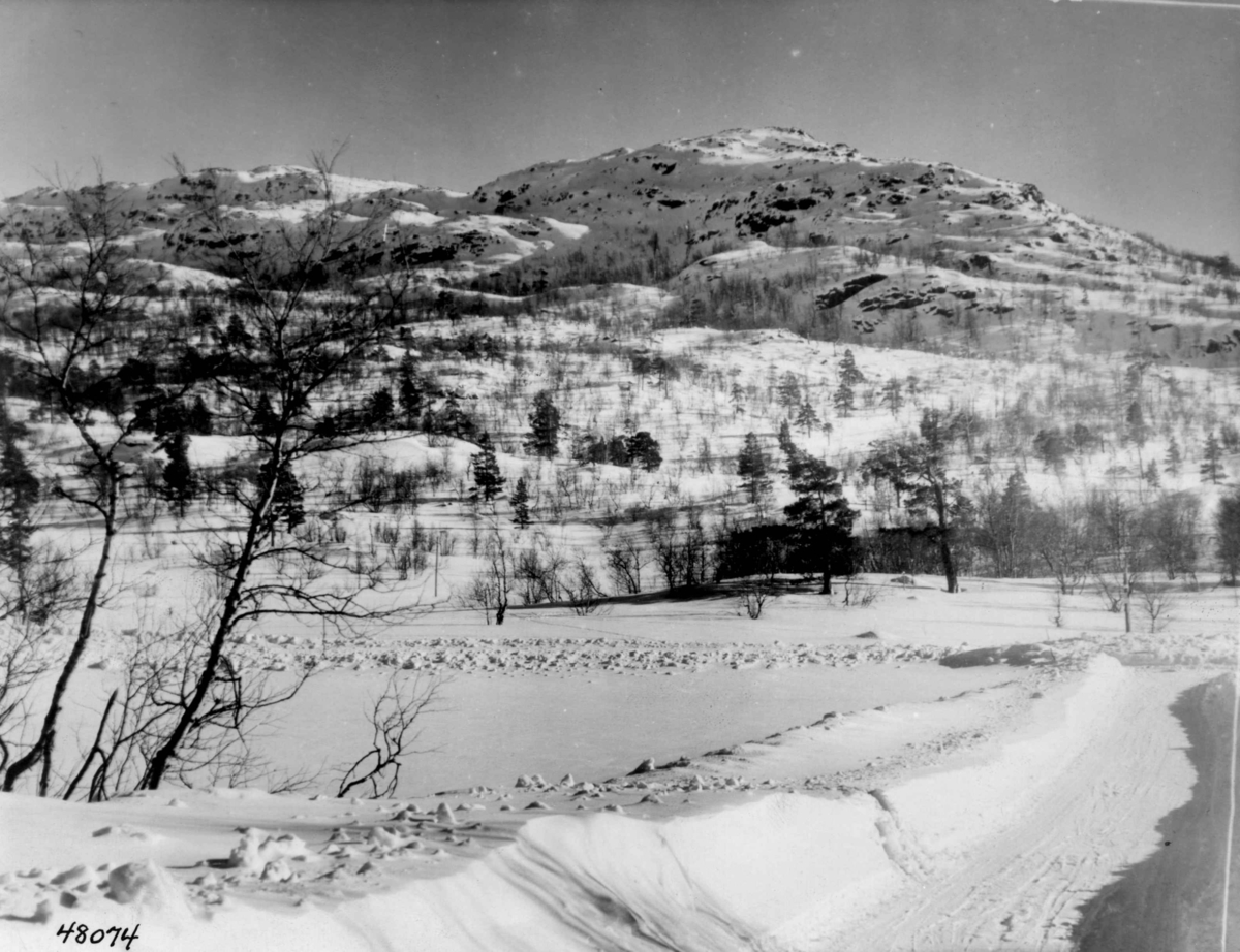 Anders Beer Wilse, Hovden, sno.