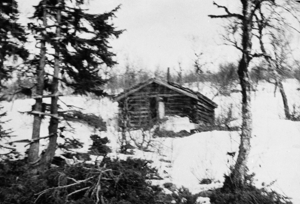 Oddvar Dobloug, Ukjent bu (Se også MINØ.038030)