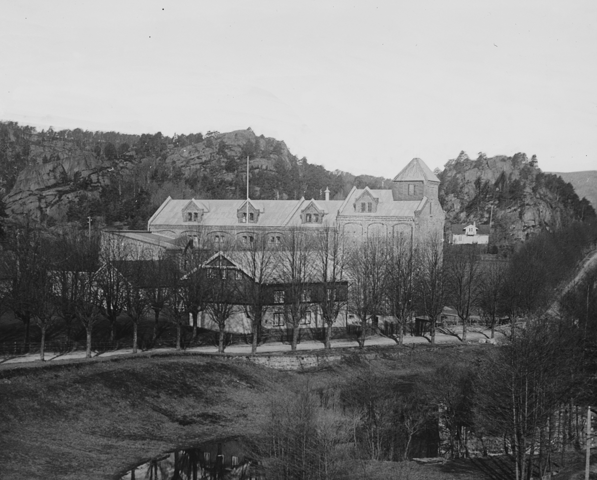 Anders Beer Wilse, Prot: Christiansand Mølle