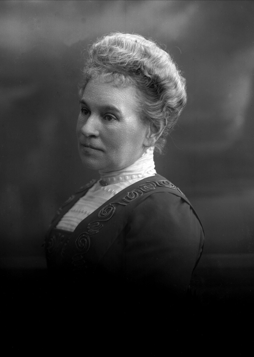 Gustav Borgen, NFB.19016