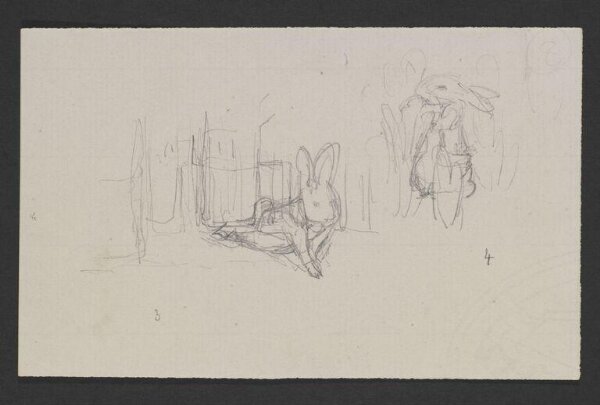 Potter, Beatrix, drawing