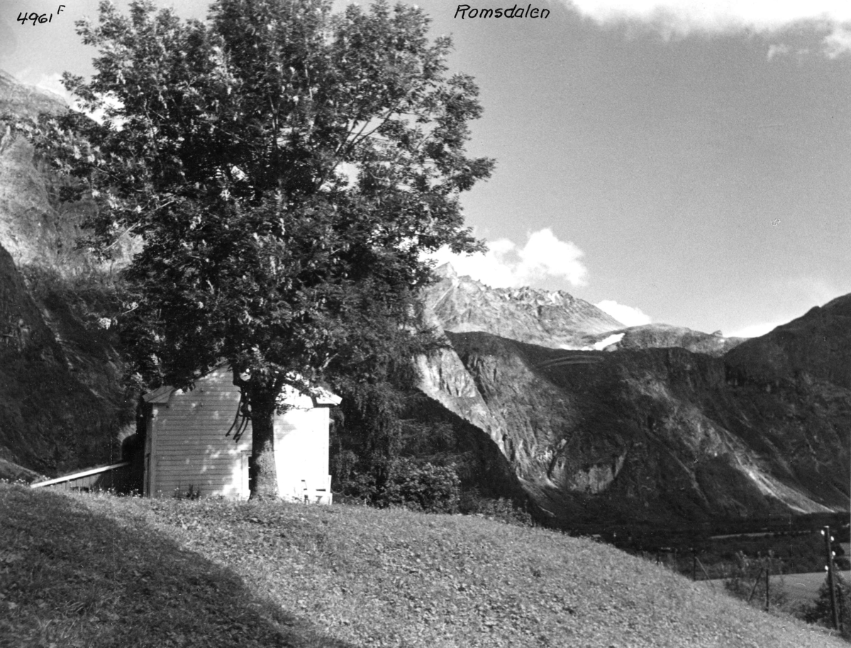 Anders Beer Wilse, Topografi