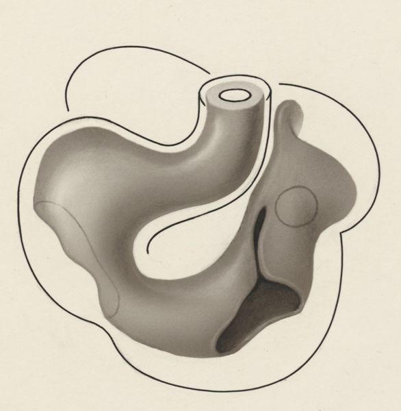 J Tinkelenberg, Embryonic heart
