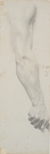 Theodor Philipsen, Studie af mandlig højre arm