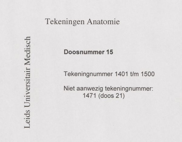 J Tinkelenberg, Heart of a human embryo
