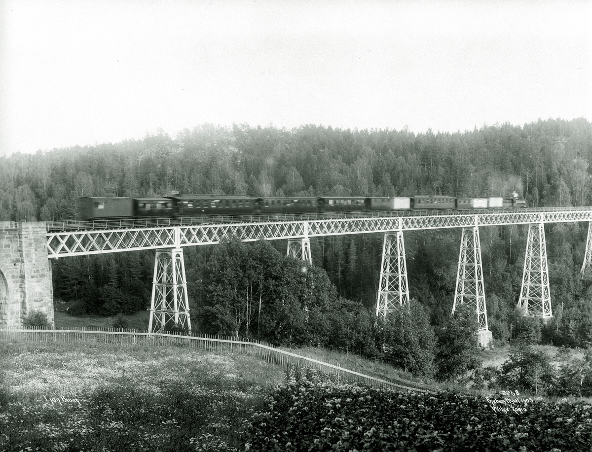 Anders Beer Wilse, Prot: Ljan - Broen 1. Aug. 1903