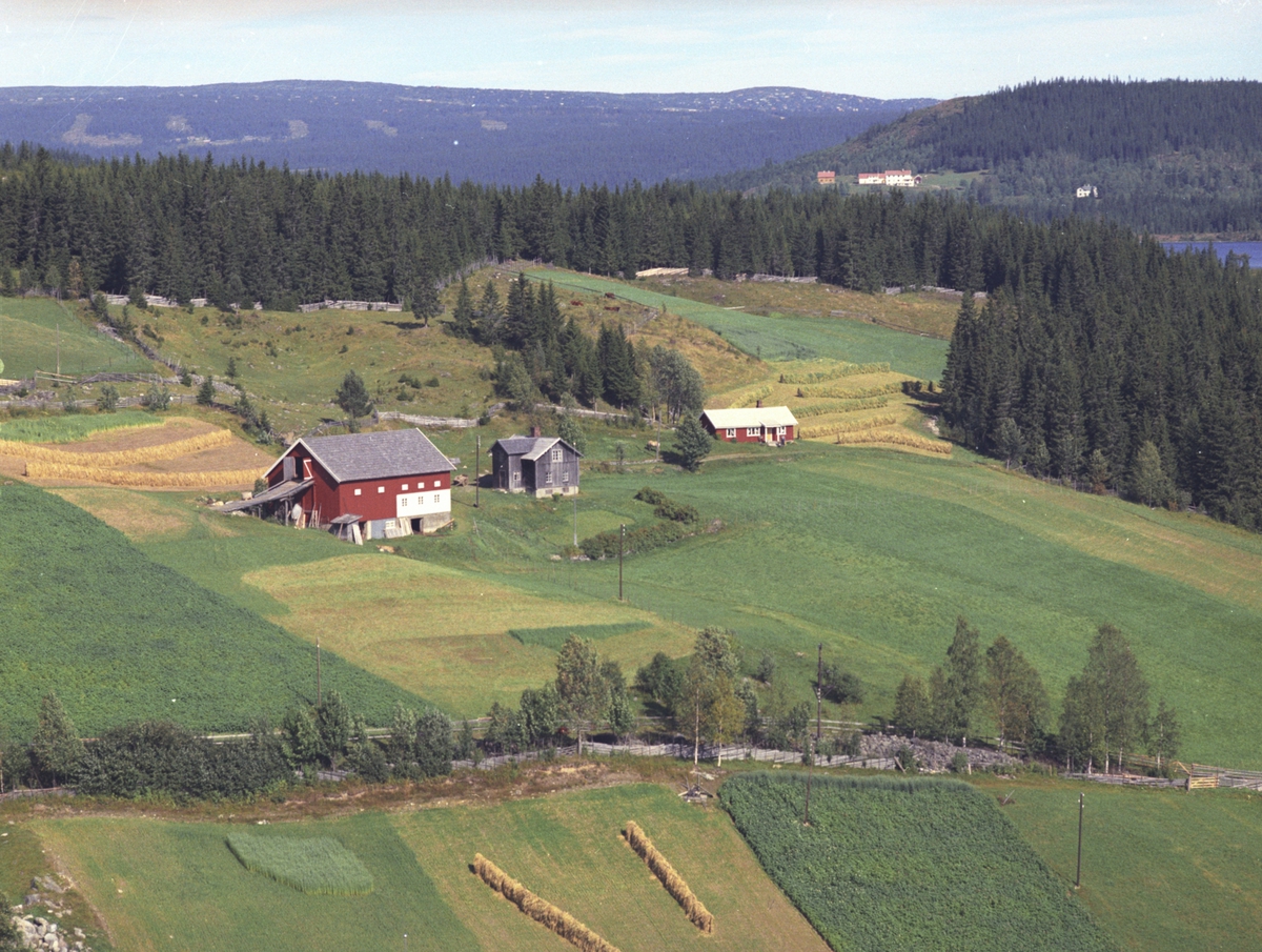 Widerøes Flyveselskap A/S, Flyfoto, Kalløkken (Kallykkja), Lismarka, Ringsaker, g.nr. 492.2.