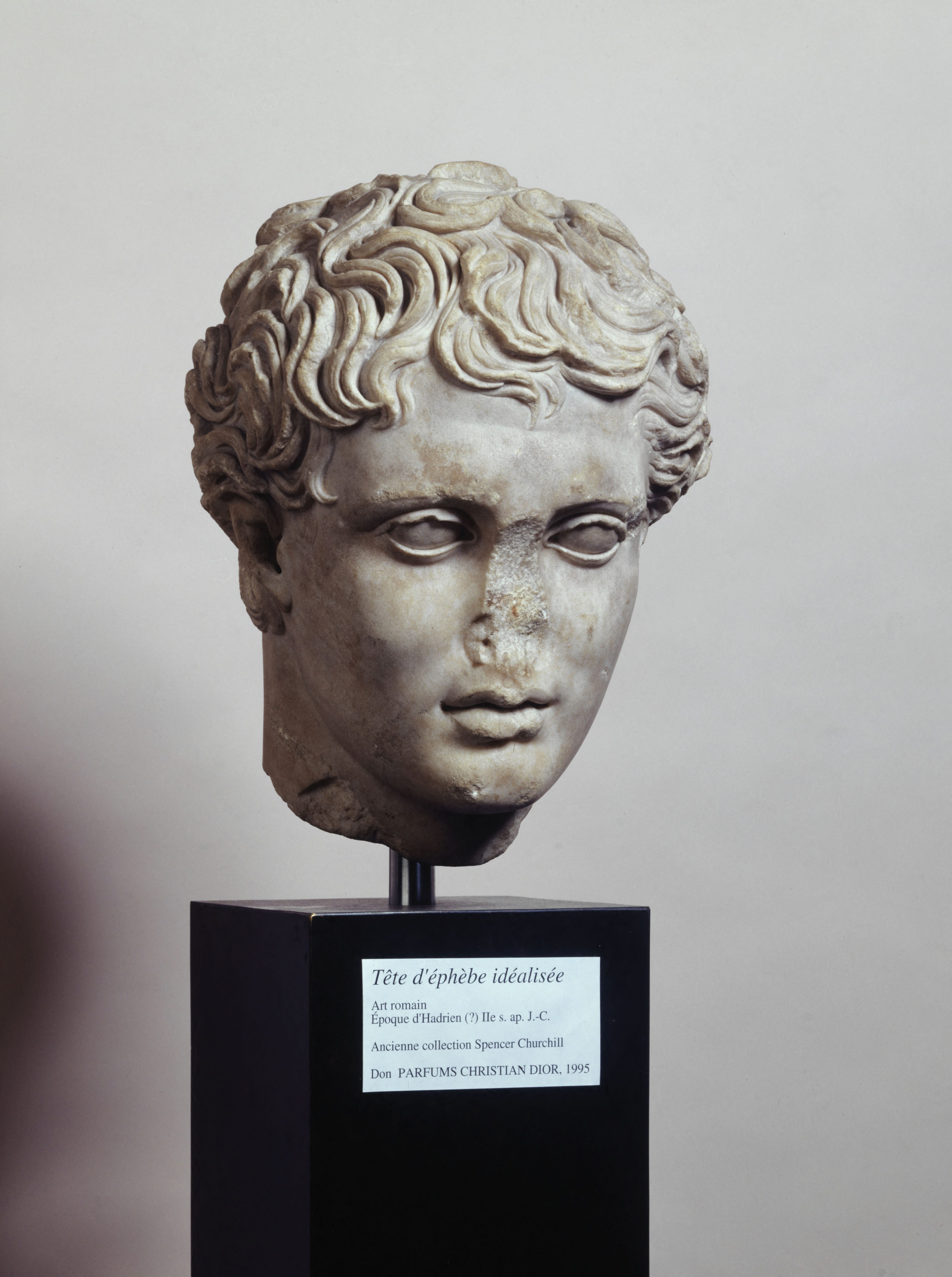 Anonyme, Tête masculine