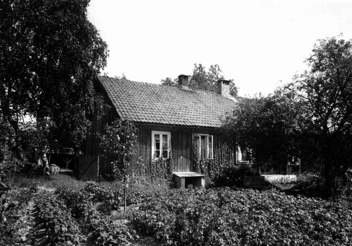 Anders Beer Wilse, Østre Haugen gård, Oslo, Østre Aker. Våningshuset.
