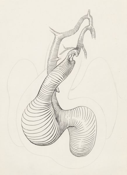 J Tinkelenberg, Embryonic heart