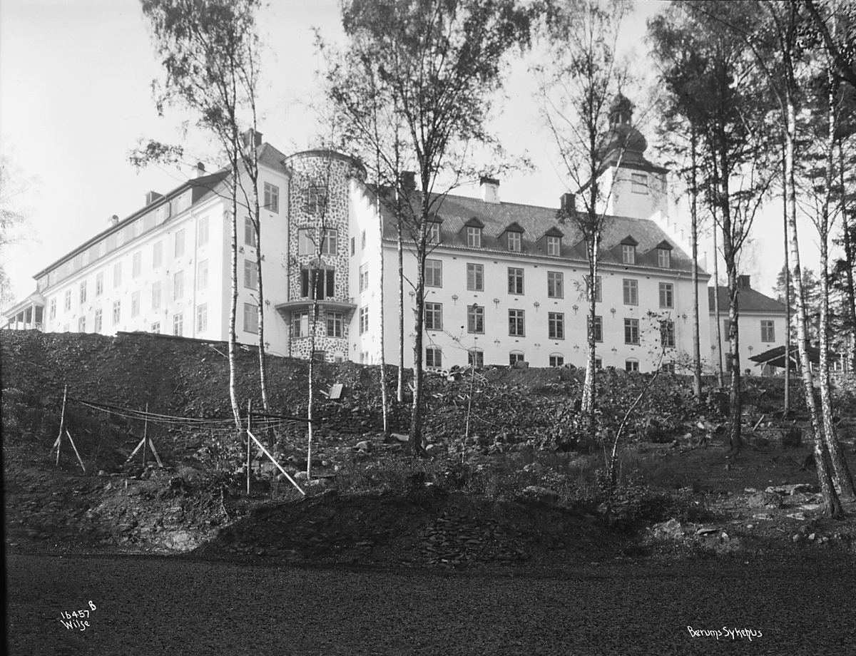 Anders Beer Wilse, Prot: Bærum sykehus